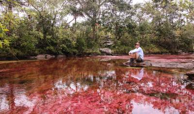 3-dniowa wycieczka do Caño Cristales z Bogoty — 4