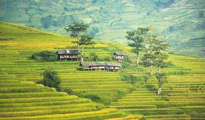 Caminhada em Sapa e Mercado de Bac Ha: 4 dias — 2
