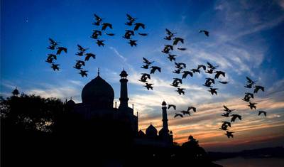 Tour Triângulo Dourado de 10 Dias e 9 Noites com Shimla — 4