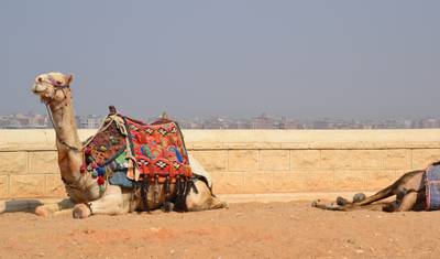 Premium Holidays : 4 days Cairo & Luxor — 3