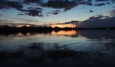 Amazon Boat Cruise - 6 Days — 5