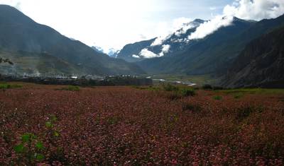 Annapurna Circuit Trek — 2