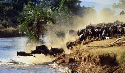 5 dni, 4 noce Kenia i Tanzania Prywatny pakiet safari kempingowego w przystępnej cenie z bezpłatnym odbiorem z lotniska. — 2
