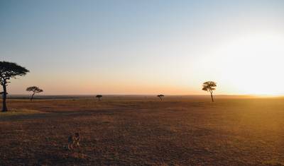 8-dniowe safari w Kenii i Tanzanii (prywatne zakwaterowanie) z bezpłatnym noclegiem w pierwszą noc w Raha Suites Hotel i bezpłatnym odbiorem z lotniska. — 4