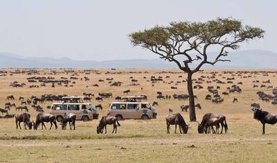 8 أيام مغامرات سفاري هجرة الحيوانات البرية في Masai Mara (5 وجهات) — 3