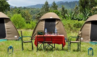 6 Days Tanzania Budget  Camping  Safari — 5
