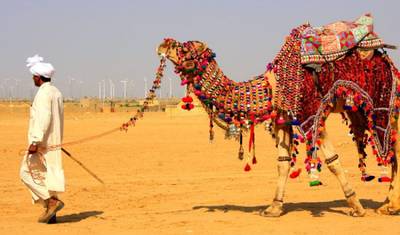 Pacote de Viagem Rajasthan – Udaipur, Jodhpur, Safari no Deserto em Jaisalmer, Bikaner e Jaipur — 4