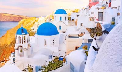 Excursão a Mykonos e Santorini - 5 Dias - Padrão — 3