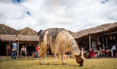 مستكشف أمريكا الجنوبية (مع قطار إلى Machu Picchu) — 3