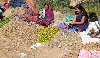 Nagarkot 日帰りハイキング — 4
