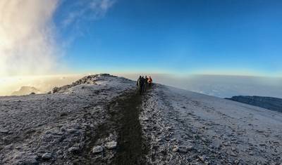 Lemosho Route (with Crater) - 8 Days — 2