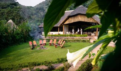 11-Day Discover Western Uganda Safari — 3
