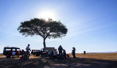 3-dniowe Klasyczne Safari Masai Mara - Oferta Loyk — 5