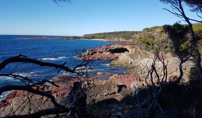 Light to Light & Sapphire Coast - New South Wales - Excursão a pé guiada de 4 dias — 2