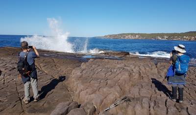 Light to Light & Sapphire Coast - New South Wales - Excursão a pé guiada de 4 dias — 5