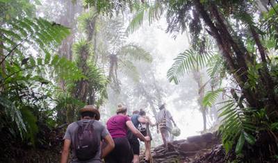 5-dniowy trekking do Ciudad Perdida z Santa Marta — 4