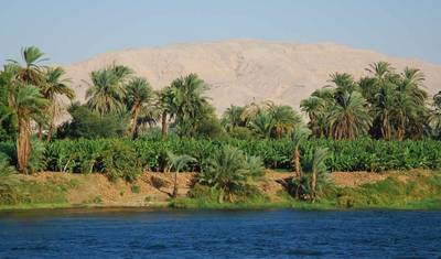 جولة اكتشاف مصر - جولة إرشادية بالكامل في القاهرة ورحلة نيلية — 4