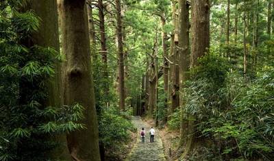 Walk Japan - Trilha Kumano Kodo — 3