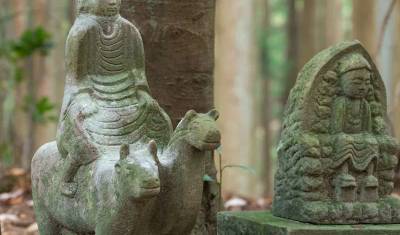 Walk Japan - Kumano Kodo Trail — 4