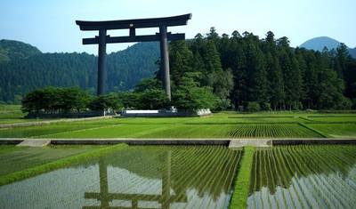 Walk Japan - Trilha Kumano Kodo — 4