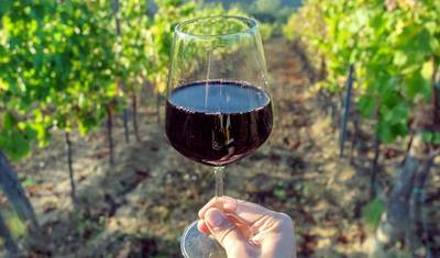 Winelands i Garden Route dla miłośników wina — wycieczka z kierowcą 5 dni — 5
