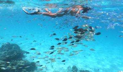 Maldivas: Tour de 7 dias! Rasdhoo + Passeio entre Ilhas! — 4