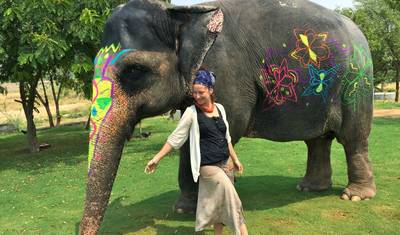 Excursão Triângulo Dourado com Safari de Vida Selvagem em Ranthambore saindo de Delhi — 5