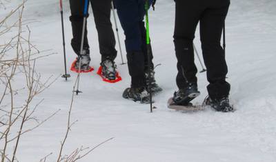 Caminhada com Raquetes de Neve nos Alpes Romenos — 4