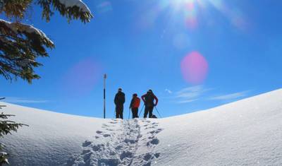 Caminhada com Raquetes de Neve nos Alpes Romenos — 2