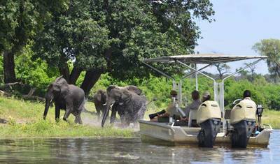 Cidade do Cabo, Cataratas Vitória, Chobe e Parque Nacional Hwange — 2