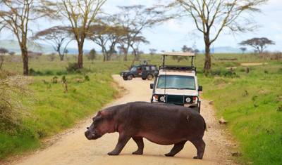 3 Dias Safari em Victoria Falls e Chobe — 2