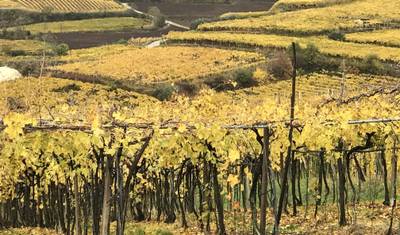 Veneto Private Experience, crafted for food and wine lovers. — 3