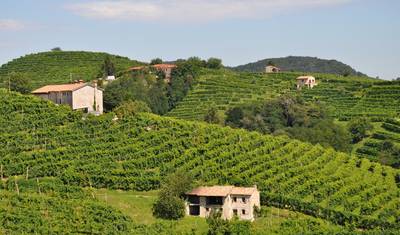 Veneto Private Experience, crafted for food and wine lovers. — 4