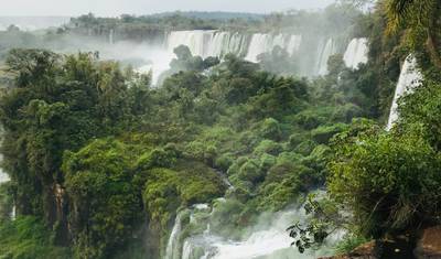 Experimente a selva de Iguaçu e as quedas do Moconá — 2