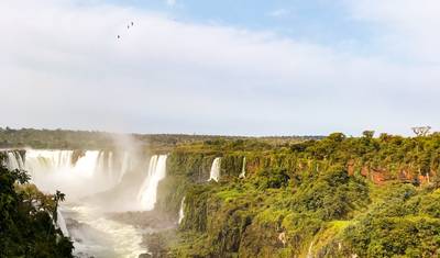 Experimente a selva de Iguaçu e as quedas do Moconá — 3