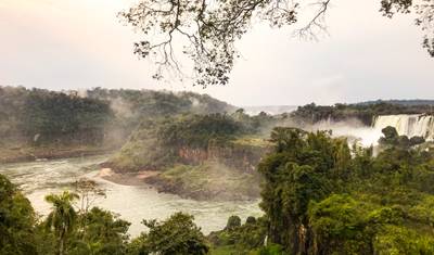 Experimente a selva de Iguaçu e as quedas do Moconá — 4