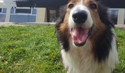 Descubra o Sudeste! Kilkenny e Waterford! — 4