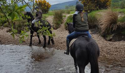 Descubra o Sudeste! Kilkenny e Waterford! — 2