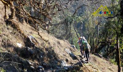 Trekking Mardi Himal — 3