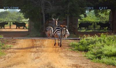 Safári de 3 Dias e 2 Noites para o Parque Nacional de Tsavo, partindo de Nairóbi — 5