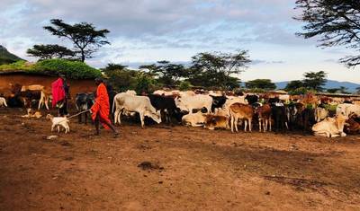 3-dniowe prywatne safari w Maasai Mara w Keekorok Lodge z Nairobi — 3