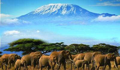 7-dniowe safari po Amboseli, Naivasha, Nakuru i Mara z Nairobi — 4
