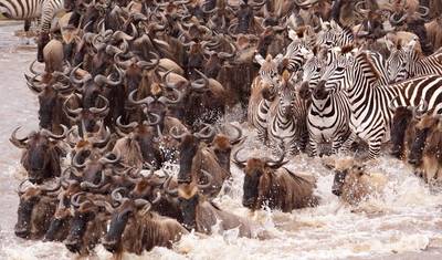7-dniowe safari po Amboseli, Naivasha, Nakuru i Mara z Nairobi — 3