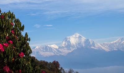 Yoga, Trekking na Montanha e Safári de Tigres no Nepal - 12 Dias — 2