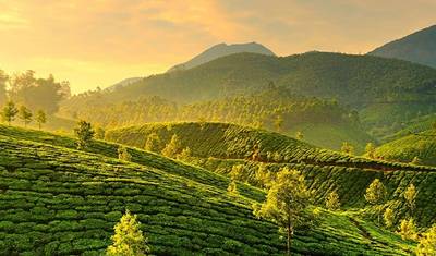 Blissful Kerala — 4