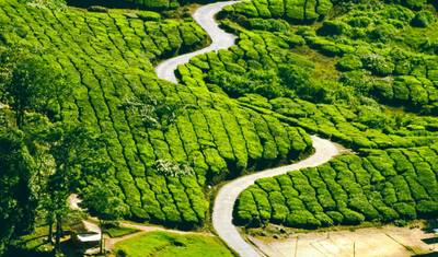 Colinas e Remansos de Kerala — 5