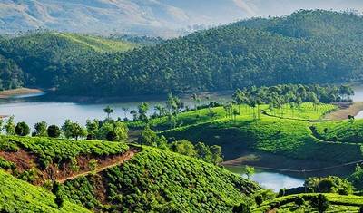 Wspaniały Munnar — 5