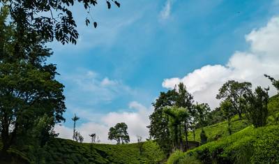 Wspaniały Munnar — 4