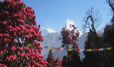 9 أيام Annapurna Panorama Trek — 3