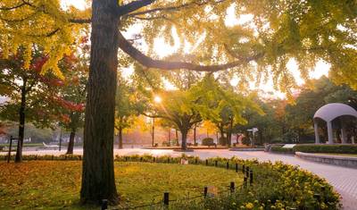 Japan: Land of the Rising Sun — 5